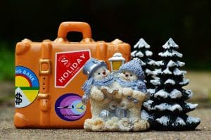 Holiday Travel Tips